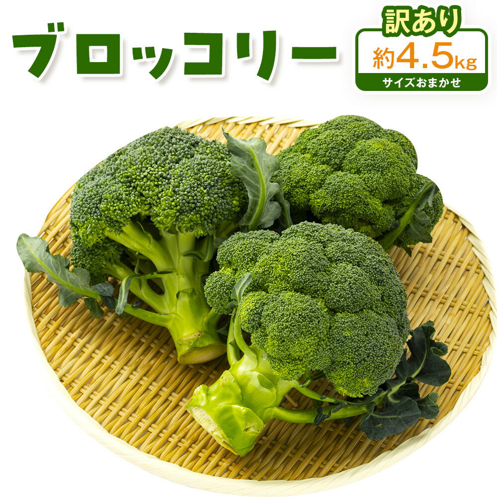 【ふるさと納税】訳ありブロッコリー　約4.5kg（サイズおまかせ）