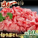 【ふるさと納税】【全6回定期便】長崎和牛切り落し 計3.0kg（約500g×6回）牛肉 和牛 切り落とし すき焼き しゃぶしゃぶ 500g 定期便 東彼杵町/有限会社大川ストアー [BAJ032]