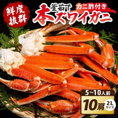 ふるさと納税 京丹後市 大好評!かに酢付き 厳選!!釜茹で 本ズワイガニ2Lサイズ10肩 冷蔵便 ずわい蟹足 やわらかい蟹肉