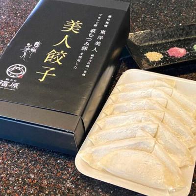 ふるさと納税 山陽小野田市 萩の地酒　「東洋美人」と萩のブランド豚　「むつみ豚」を使用した　美人餃子　2箱 |  | 01