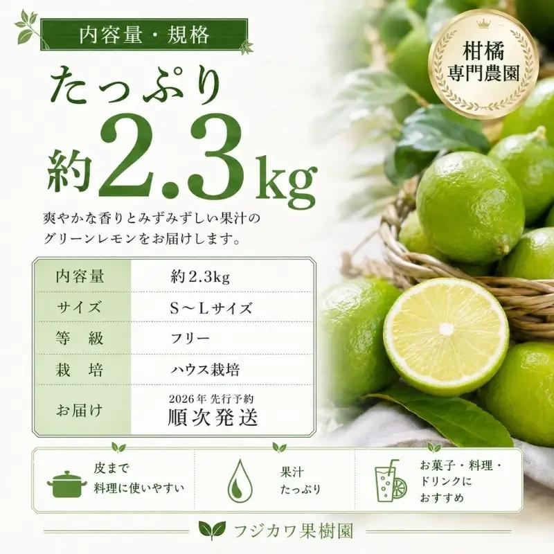 【2026年 先行予約】みどり認定 ハウス栽培グリーンレモン 約2.3kg 国産レモン 香川 果物類／柑橘類／みかん レモン　 