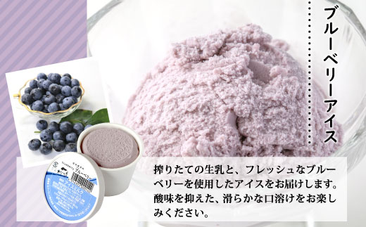 香料・着色料不使用！３種の食べ比べセット９個 (信州りんごアイス・いちごアイス・ブルーベリーアイス）100ml りんご いちご スイーツ アイスクリーム アイス アソート 詰め合わせ デザート アイス