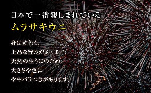 【4月下旬〜発送】ミョウバン 不使用 生うに 牛乳瓶 入り 150g × 2本 【配送日指定不可】［23］　