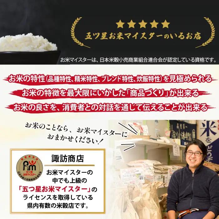 五ツ星お米マイスター 厳選 岩手県産 金銀セット 精米 食べ比べ 総量 10kg 【諏訪商店】 米 こめ コメ 金色の風 銀河のしずく 白米 ご飯 ごはん ライス グルメ 食料 五つ星 5つ星 5ツ星