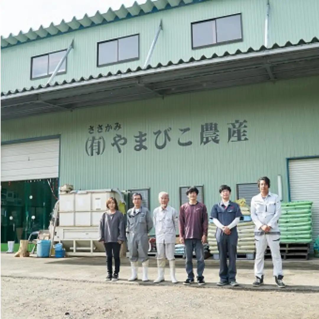 【令和8年産新米予約】【8か月定期便】コシヒカリ「やまびこ米」5kg×8回 玄米黒酢農法 金賞受賞 特別栽培米 白米 精米 農家直送 新潟県 米 こめ コメ 新米 新米予約 令和８年度産 10月中旬よ