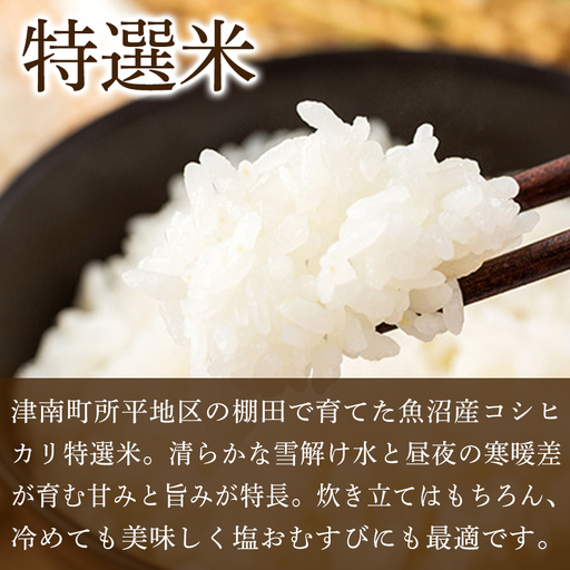【4ヶ月定期便】魚沼産コシヒカリ 特選米 5kg(5kg×1袋) | 津南町 魚沼 令和7年