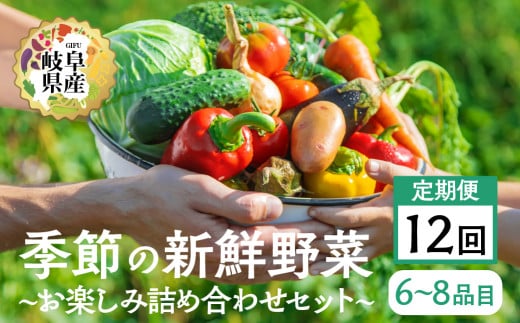 季節の野菜セットA 6～8品目 お届け回数  12回  お届け 定期便 12か月 品目おまかせ BBQ 春 夏 秋 冬 野菜 料理 自宅用 岐阜県産 本巣市 新鮮 やさい 数量限定 冷蔵 道の駅 織部の里 [mt1617]