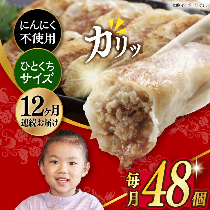【ふるさと納税】【簡易包装】【12回定期便】三代目長崎ぎょうざ48個（12個入×4袋） 長与町/岩崎本舗 [EAB048] 餃子 ニンニク無し 不使用 定期便 定期 12回 12ヶ月
