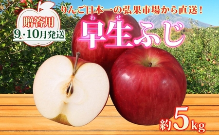 りんご 早生ふじりんご 青森県産 贈答用早生ふじ りんご【約5kg】【9〜10月発送】