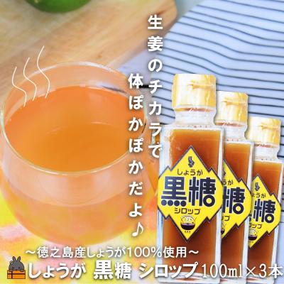 ふるさと納税 徳之島町 徳之島産しょうが100%使用!体ぽかぽか!しょうが黒糖シロップ(100ml×3本)