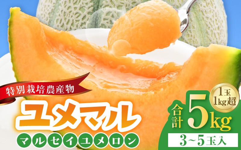 
                  【先行予約】マルセイユメロン 3～5玉入「ユメマル」5kg 《とろけるような食感の絶品 赤肉メロン》／ 果物 フルーツ 産地直送 大賞 受賞 ※2027年6月中旬より順次発送 [aw012-a025]
                