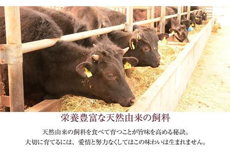 76-70B新潟県産牛（長岡産）サーロイン2kgブロック