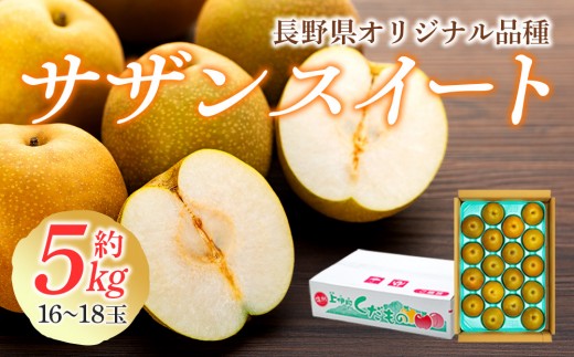
                  梨 長野 サザンスイート 約 5kg （16～18玉） 贈答用 オリジナル品種 フルーツ 果物 デザート おやつ なし ナシ ギフト 贈答 産地直送 長野県 長野県産 信州産 長野県箕輪町
                
