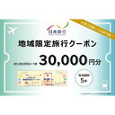 【ふるさと納税】三重県津市　日本旅行　地域限定旅行クーポン30,000円分　宿泊券・チケット