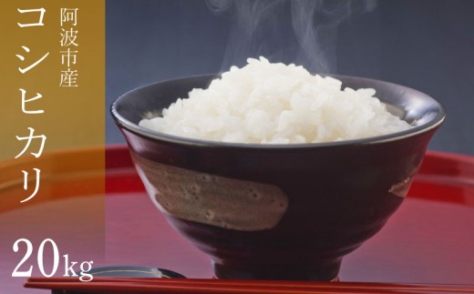コシヒカリ 20kg 令和8年産 米 こめ ご飯 ごはん おにぎり 白米 精米 新米 卵かけご飯 食品 ギフト 贈答 プレゼント お取り寄せ グルメ 送料無料 徳島県 阿波市 栗栖農園