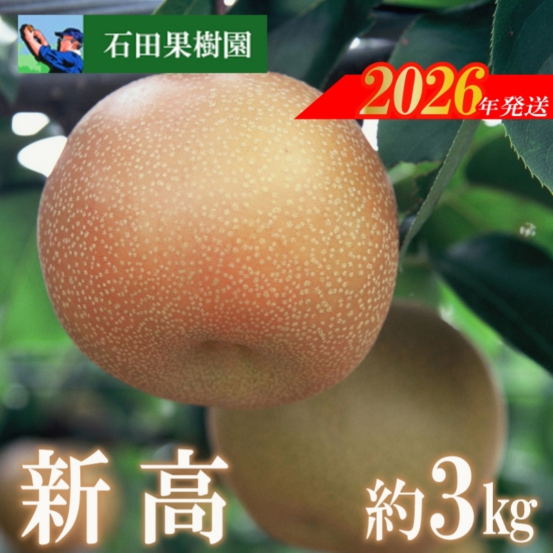 No.2738梨　新高　3kg【2026年発送】