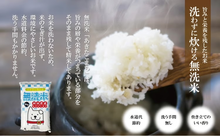 【定期便3ヶ月】令和7年産　秋田県産米「あきたこまち（無洗米）」 5kg（5kg×1袋）150P9204【(有)真正ファーム】