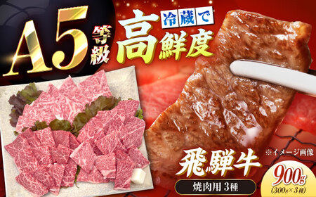【チルド（冷蔵）発送！】 「飛騨牛」 A5等級 焼肉用3種盛り！ ロース・もも・バラ 各300g / 牛肉 焼肉 鉄板焼き 網焼き BBQ/ 恵那市 / 東美濃農業協同組合[AUFX023]