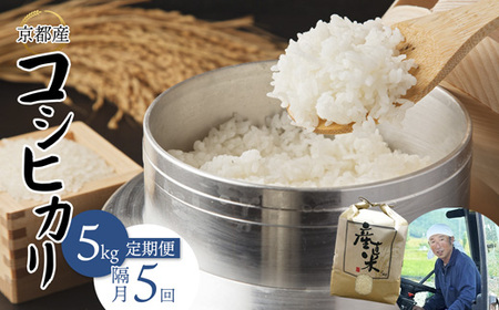 【隔月定期便】 【令和7年度産】 コシヒカリ 5kg×5回 25kg  精米 白米 お米