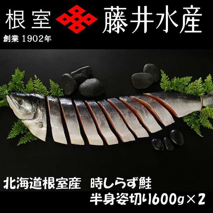 【ふるさと納税】[北海道根室産]時しらず鮭切身600g×2P C-42100