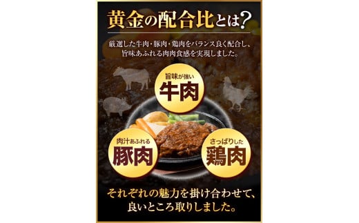 肉 ハンバーグ 肉肉ハンバーグ デミグラスソース 150g 18個 《7-14営業日以内に出荷予定(土日祝除》 大津町 国産 牛肉---oz_fh_wx_24_11000_2700g_d