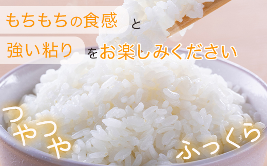  【R6年産 新米】 多良木町産 にこまる 5kg 均ちゃん農園 多良木町 精米 白米 ご飯 お米 うるち米 008-0670