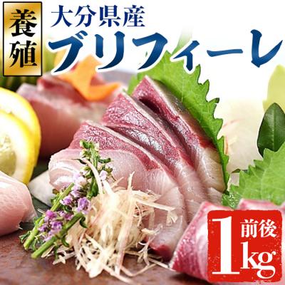 ふるさと納税 佐伯市 大分県産 養殖ブリ　フィーレ (約1kg前後) | 