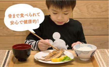 【全6回定期便】E 壱岐産 干物セット 家庭用 [JBD049] 干物 ひもの 定期便 レトルト