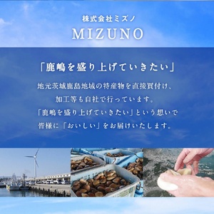 たこ 鹿島だこ 鹿島灘 タコ