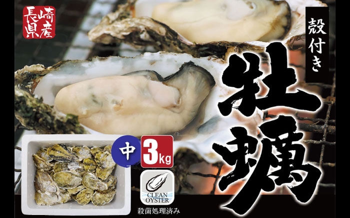 
                  【加熱用】濃厚でミルキー！有明海育ちの瑞穂牡蠣　中サイズ（30g～49g）3kg 長崎県/株式会社 ふるさと企画 [42AMAG005]
                