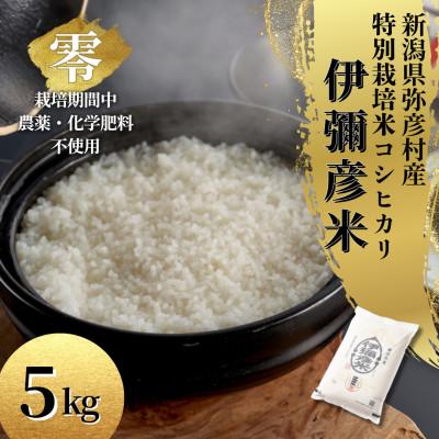 ふるさと納税 弥彦村 令和7年産 栽培期間中農薬不使用コシヒカリ「伊彌彦米 零(ぜろ)」新潟県産 精米 5kg