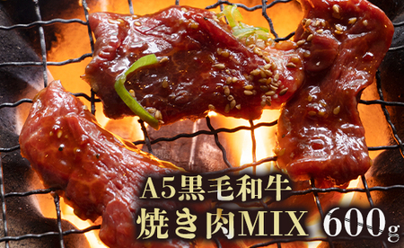 黒毛和牛 焼肉用ミックス 600g （150g×4袋/3～4人前） 焼き肉