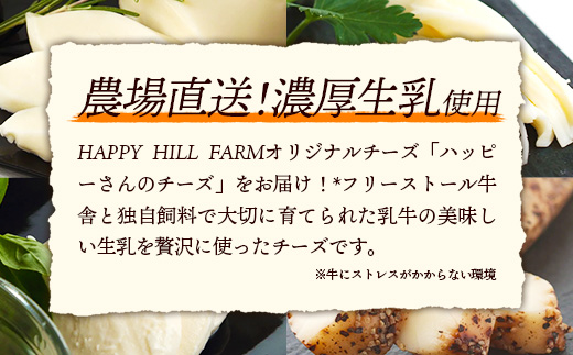 ハッピーさんのチーズ4種セット各3個入り チーズ モッツァレラ さけるチーズ 牛乳 おつまみ ちーず 乳製品 生乳 乳 国産 国産チーズ 食べ比べ セット 詰合せ 詰め合わせ アソート 家飲み 有塩 
