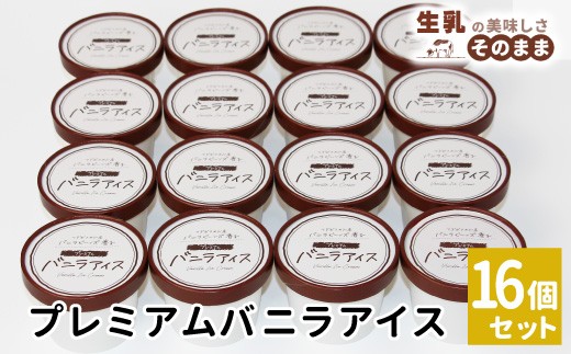 2026年7月1日～寄付金額変更★〈1週間以内発送〉マダガスカル産バニラビーンズ香る！バニラアイスクリーム 16個入り アイスクリーム 10000円　アイス バニラ デザート スイーツ