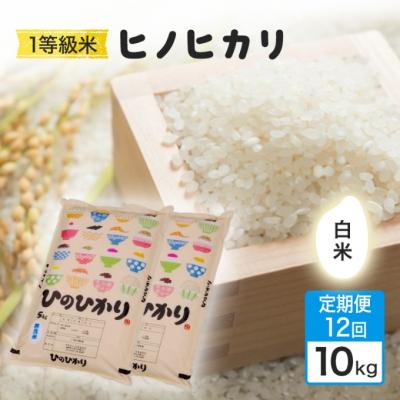 ふるさと納税 小郡市 定期便12回 1等級米 ヒノヒカリ 白米10kg[No5354-2372]