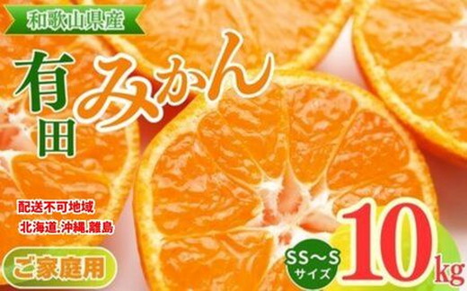 【ご家庭用】和歌山有田みかん約10kg(SS、Sサイズ)【美浜町】 ※北海道・沖縄・離島への配送不可 ※2025年11月上旬～2026年1月下旬頃に順次発送予定