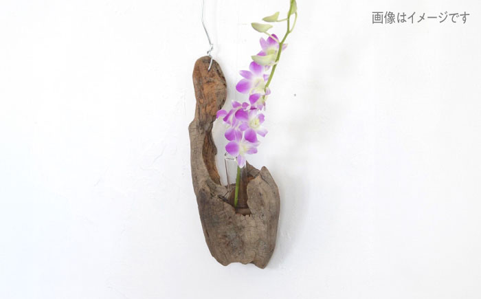 Driftwood FlowerBase 流木一輪挿し フラワーベース 糸島市 / WOOD\'ARBRE(ウッドラヴル)【TIME】 インテリア 雑貨 [ADC003] インテリア 雑貨 一輪挿し 