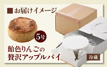 【数量限定】飴色りんごの贅沢アップルパイ 5号ホール：直径15cm (4〜5人前) 850g 【アップルパイ りんご ケーキ 焼き菓子 スイーツ デザート 果物 フルーツケーキ 洋菓子 贈答 ギフト】