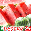 【ふるさと納税】和歌山県産 小玉すいか ひとりじめ7(セブン) 2玉入り 3.5kg以上 厳選館《2025年6月下旬-8月中旬頃出荷》 和歌山県 日高町 スイカ 西瓜 すいか