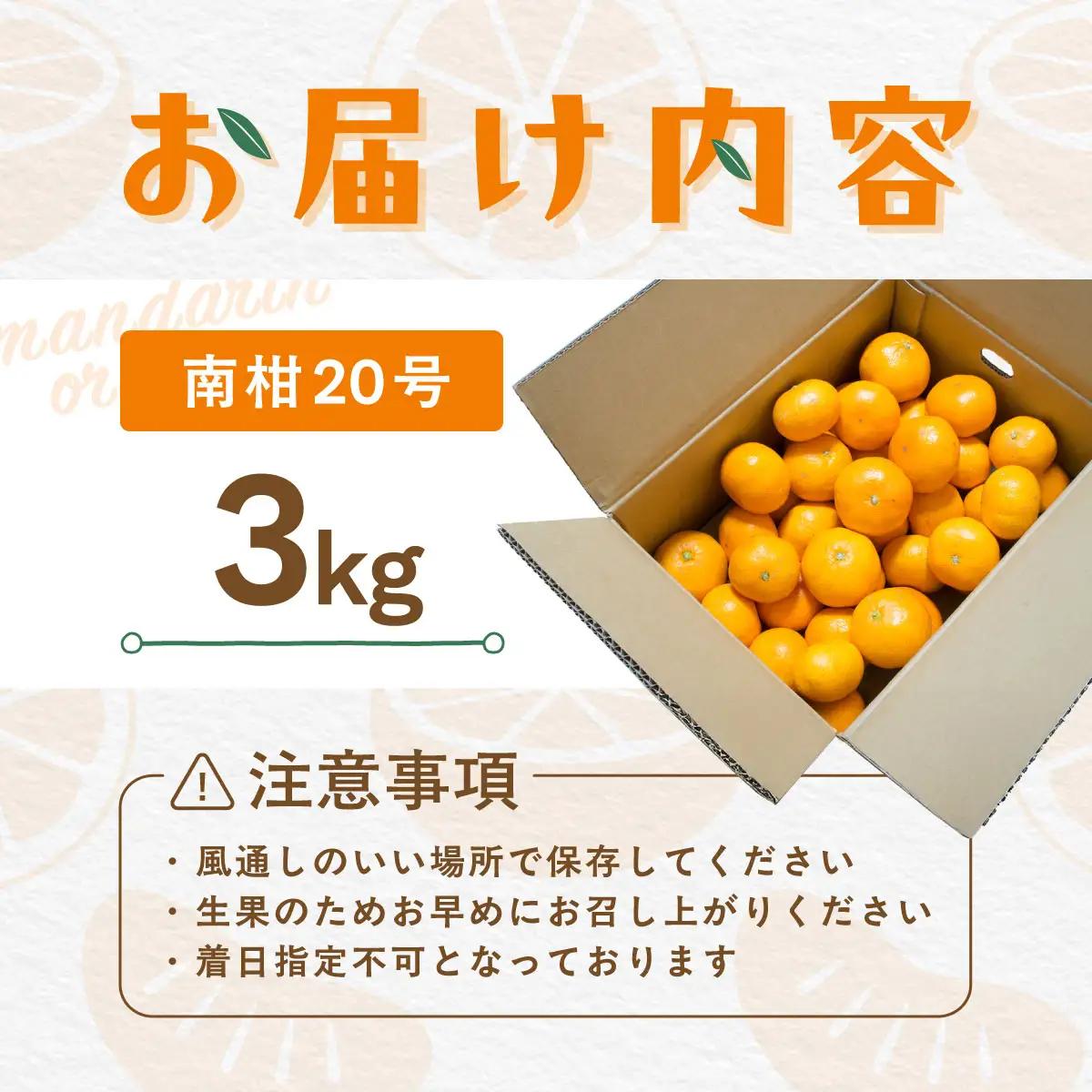 【先行受付】【数量限定】南柑20号（生果）3kg（2025年12月上旬頃より順次発送）IKTQ016