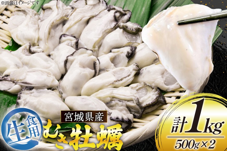 
【期間限定発送】 宮城県産 むき牡蠣 生食用 500g×2p 計1kg [及新 宮城県 南三陸町 30aw0005] かき カキ 牡蠣 生牡蠣 貝 魚介類 剥き身 むき身 殻なし 冷蔵 新鮮 なべ カキフライ 牡蠣ご飯 濃厚
