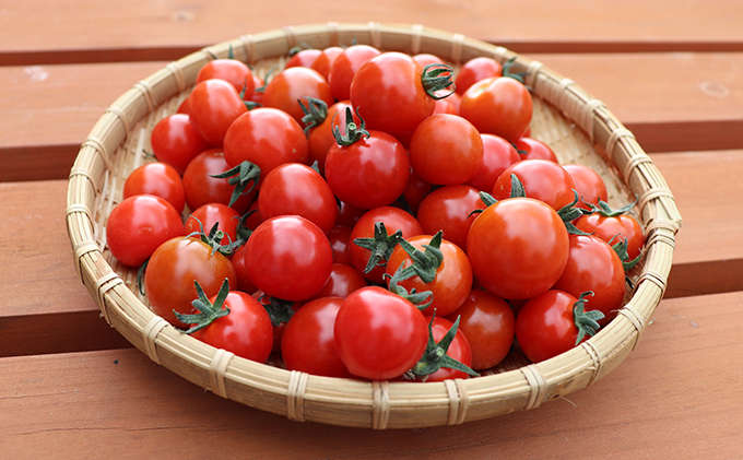 【2024年8月上旬頃から発送】農家直送！ミニトマト500g入り！朝採れ野菜詰め合わせボックスS（6～8品入り）