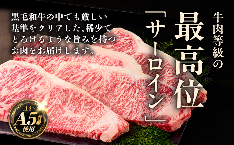 A5/A4ランク 黒毛和牛 サーロインステーキカット 合計1kg（250g×4P） + 圧倒的企業努力 サーロインステーキ 250g【極味付け肉】 G3642-2
