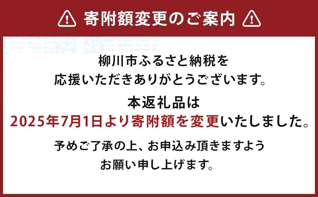 柳川海苔本舗 ワケアリ 焼のり セット のり 焼き海苔 塩 訳あり