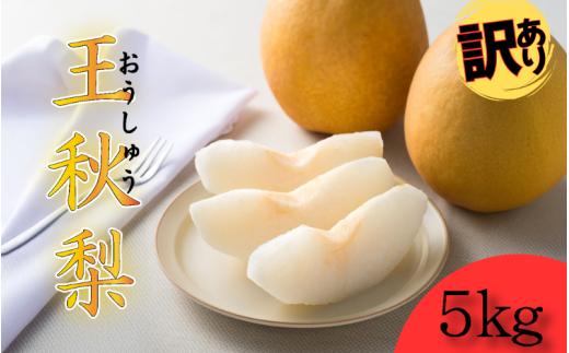 【先行予約】（訳あり）中野農園 梨 ”王秋梨” 5kg箱｜鳥取 岩美 梨 なし ナシ【41018】