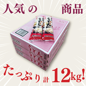 【麺のスナオシ】リピーター続出！手打風うどん３箱　計12kg（200ｇ×60袋）（乾麺）【饂飩 麺 長期保存 保存食 防災 人気 大容量 水戸市 茨城県】（BY-8）