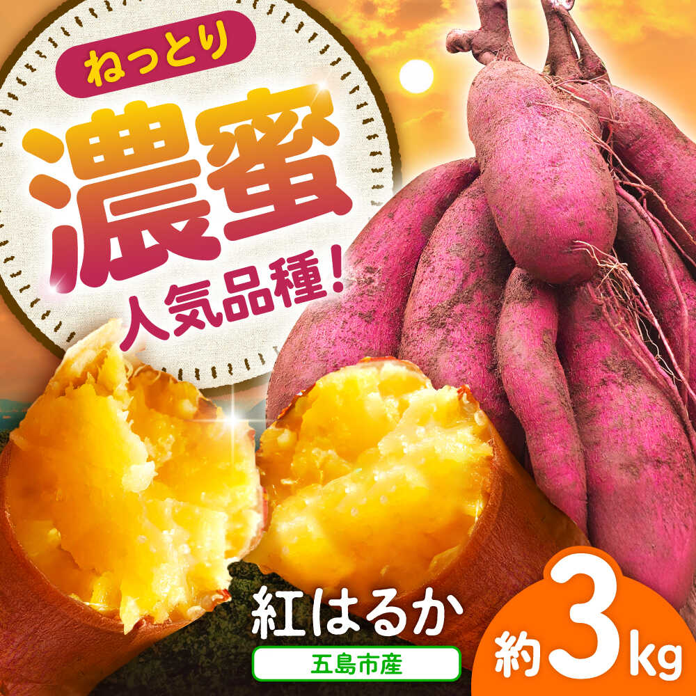 【ふるさと納税】【2026年11月より発送】島の元気なさつまいも!ねっとり甘い『紅はるか』3kg 五島市/あわたに農園[PGO001] さつまいも 紅はるか 甘い ねっとり 野菜
