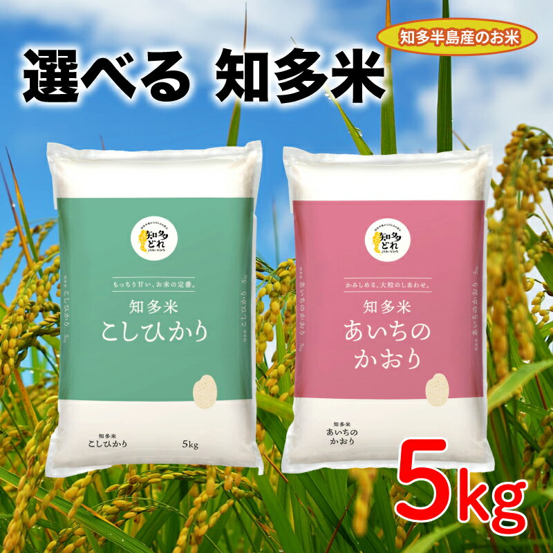 【ふるさと納税】 知多米 選べる こしひかり あいちのかおり 5kg 米 コシヒカリ こめ こしひかり 米 ライス ご飯 ごはん 主食 愛知 コシヒカリ こめ こしひかり 米 ライス ご飯 ごはん 主食 コシヒカリ こめ こしひかり 米 ライス ご飯 ごはん 愛知県 南知多町 ★作成中です