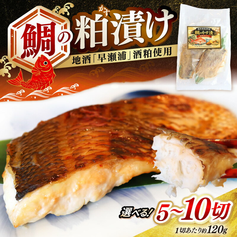 【ふるさと納税】鯛の粕漬け 地酒「早瀬浦」酒粕使用 【選べる内容量：5切/10切】【酒粕漬け 漬け魚 焼くだけ ご飯のお供 早瀬浦 日本酒 酒カス さけかす 酒粕漬け 鯛 タイ たい 発酵食品 腸活】