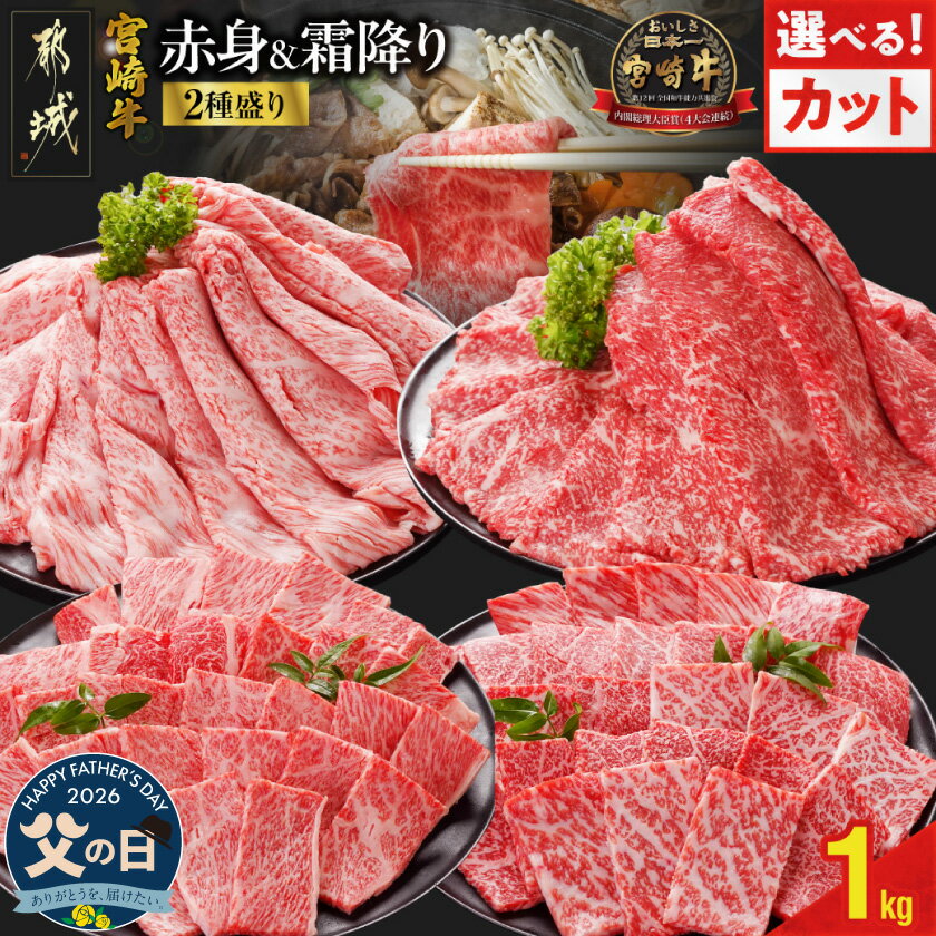 【ふるさと納税】【父の日】【カットが選べる！】宮崎牛2種セット500g×2パック≪6月18日〜21日お届け≫ - 宮崎牛 黒毛和牛 焼肉用/スライス 肩ロース ロース ウデ モモ 牛肉 ギフト プレゼント 贈答用 送料無料 SKU-N203-FG【宮崎県都城市は2年連続ふるさと納税日本一！】